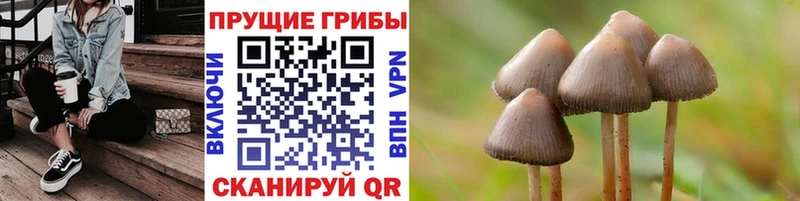 Псилоцибиновые грибы GOLDEN TEACHER  гидра как зайти  Шиханы 